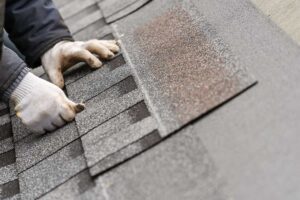 Ground-level view of dark roof streaks and green moss spreading across damp asphalt shingles near tree shade.