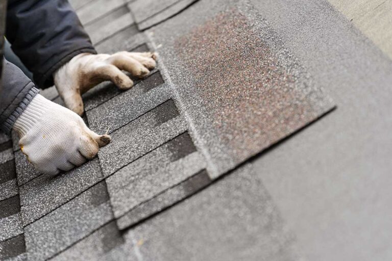 Ground-level view of dark roof streaks and green moss spreading across damp asphalt shingles near tree shade.
